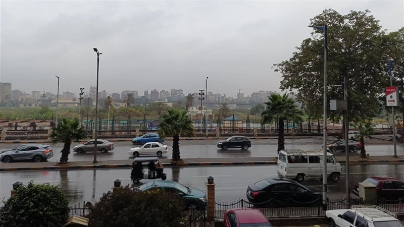  حالة الطقس، فيتو