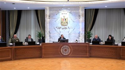 مصر تخطط لمستقبل الصناعة، مشروعات عملاقة ومليارات الجنيهات (إنفوجراف) 