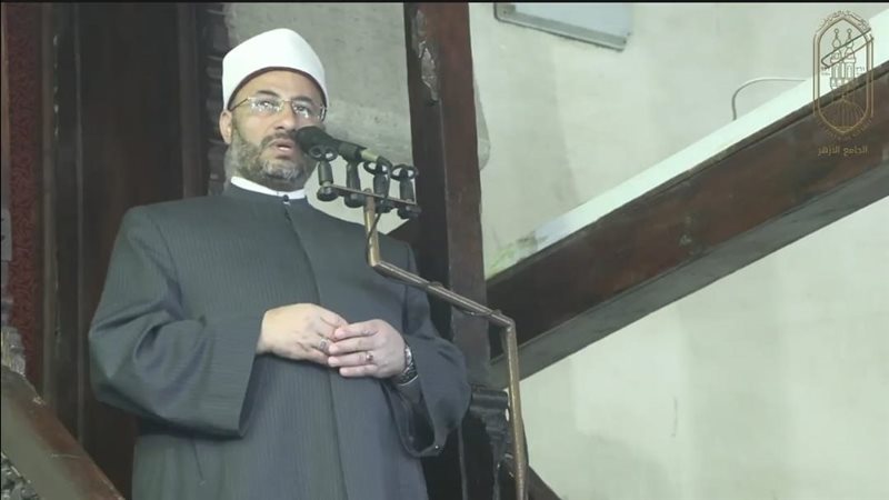  الدكتور محمود الهواري،