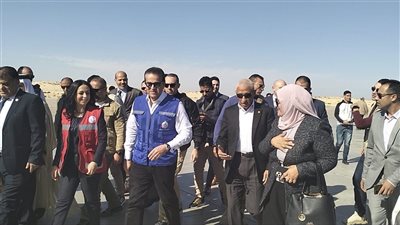 محافظ شمال سيناء يستقبل وزيري الصحة والتضامن ووفد الجامعة العربية