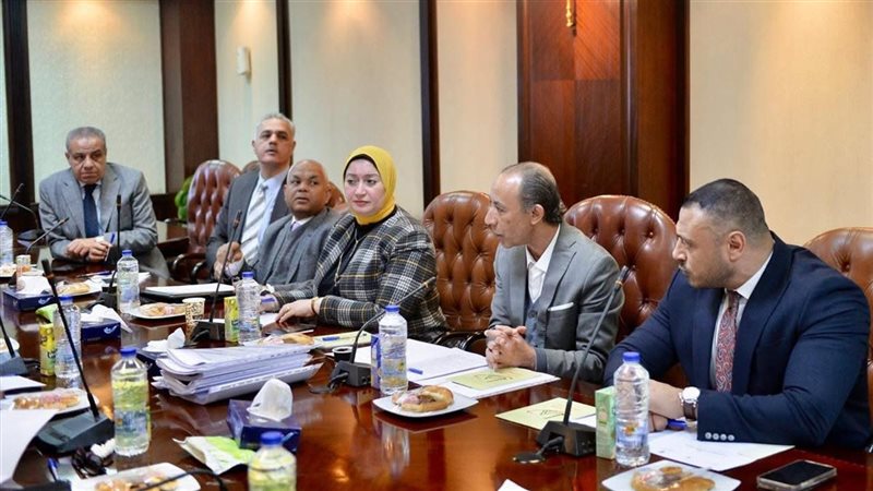 لجنة آليات التصدي