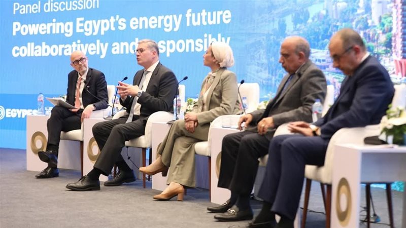 بدوي والوزراء المشاركون،فيتو