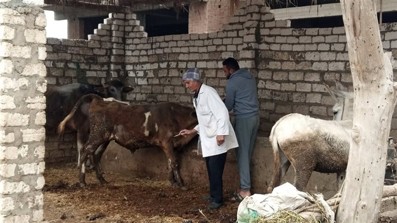 قافلة بيطرية 