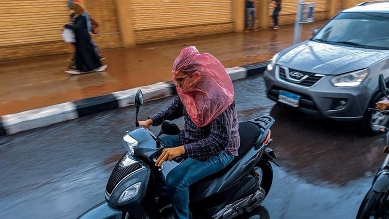 حالة الطقس غدا، فيتو