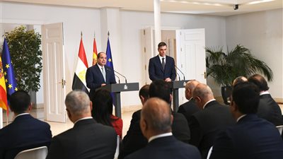  مصر وإسبانيا تؤكدان التزامهما بتنفيذ حل الدولتين وإقامة دولة فلسطينية مستقلة