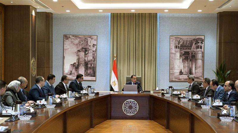 رئيس الوزراء, فيتو