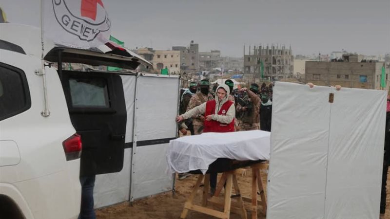 الصليب الأحمر، فيتو