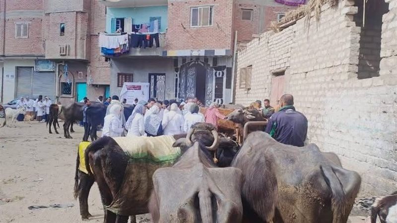 قافلة بيطرية، فيتو