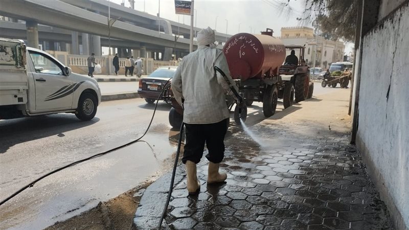 حملات نظافة بالدقهلية،