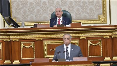 إضافة مادة بقانون الإجراءات الجنائية تقضي بحق ولي الدم بالصلح في جرائم القتل