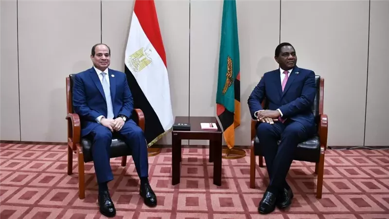 الرئيس السيسى ونظيره