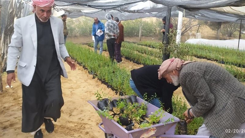 توزيع شتلات اللوز