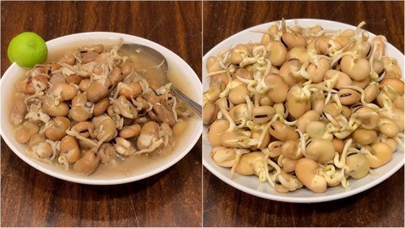 طريقة الفول النابت،