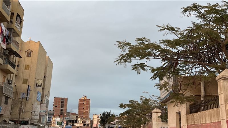 حالة الطقس غدا، فيتو