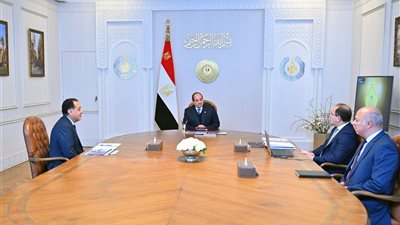 زيادة المرتبات والمعاشات، أبرز توجيهات السيسي للحكومة اليوم (فيديو)