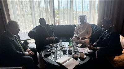 وزير الاستثمار يبحث مع وفد 