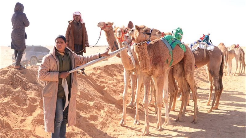 جانب من سباقات اليوم،فيتو