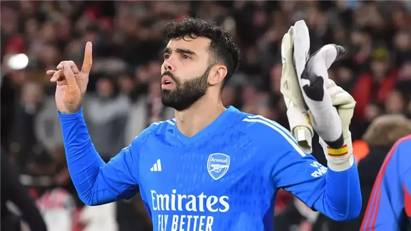 ديفيد رايا، فيتو