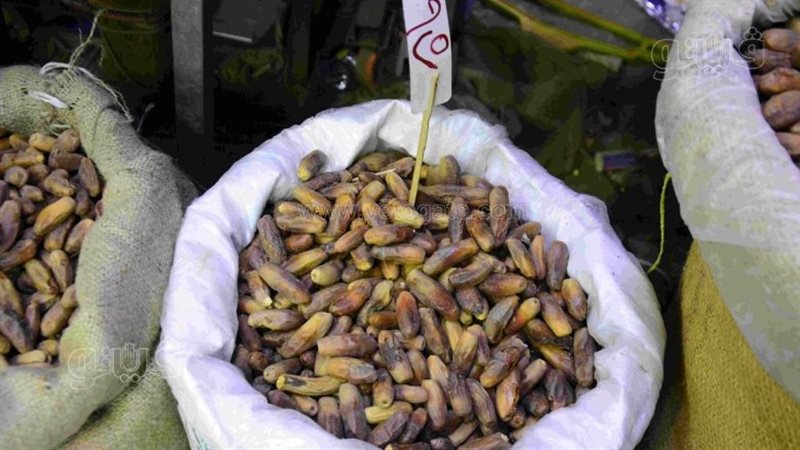 سعر البلح