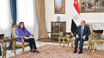 السيسي يستعرض جهود تنفيذ اتفاق وقف إطلاق النار وتبادل الأسرى وإعادة إعمار غزة دون تهجير