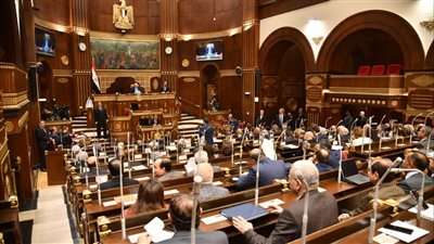 بدء جلسة الشيوخ، وملفات الحماية الاجتماعية بجدول الأعمال