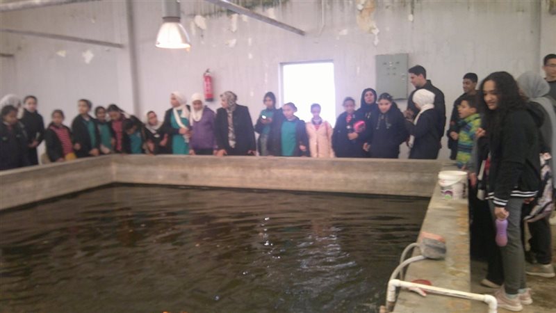 جامعة القناة تعرف