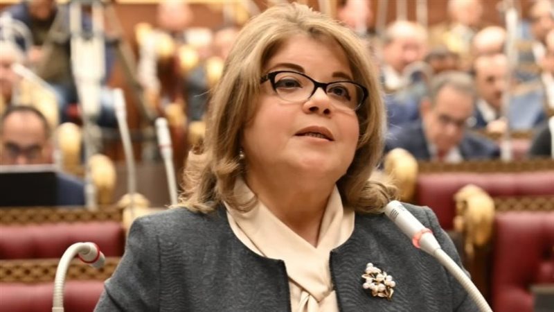 النائبة فيبي فوزي