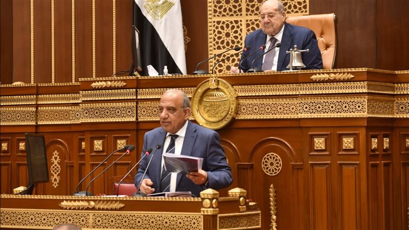 الدكتور محمود عصمت