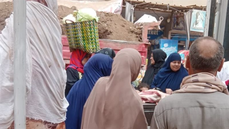 إقبال علي سيارات