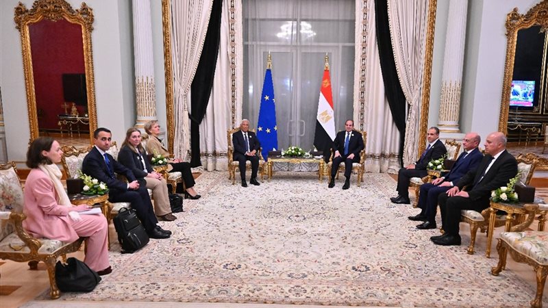 السيسي ورئيس المجلس