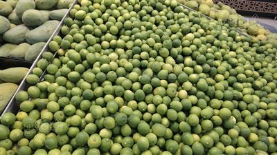 يصل لـ 100 جنيه، أسعار الليمون البلدي في الأسواق
