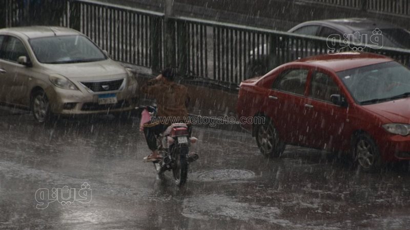 حالة الطقس غدا، فيتو