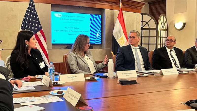 المهندس كريم بدوي،فيتو