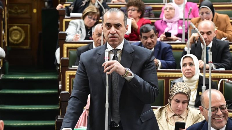 المستشار محمود فوزي