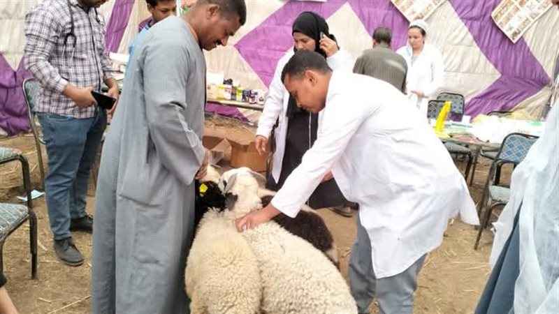 الطب البيطري 