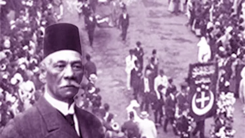 ثورة ١٩١٩، فيتو