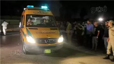 مقتل مسن بطلق ناري على يد حفيده في الأقصر 