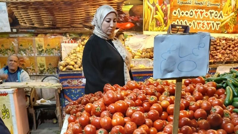 حملات تموينية بالدقهلية،