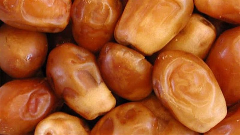 البلح