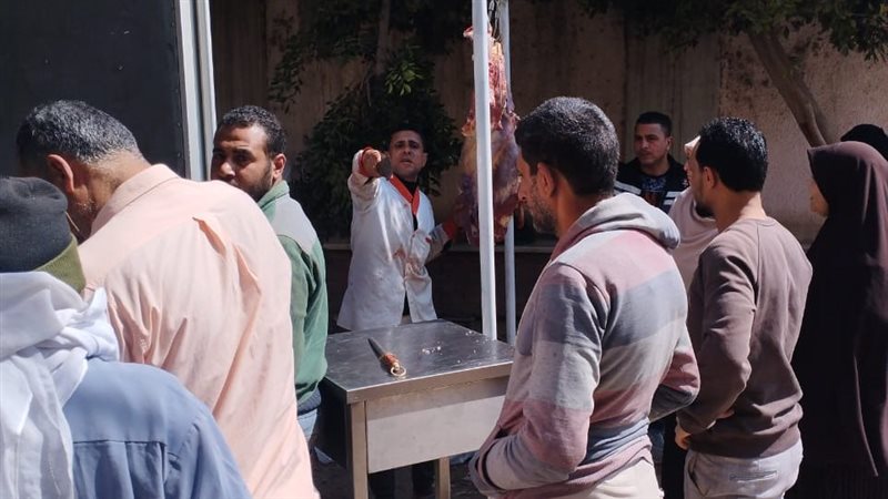 اقبال ليلي علي شراء
