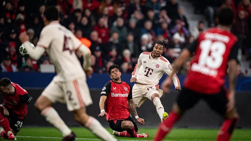 بايرن ليفركوزن، فيتو