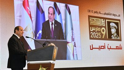 السيسي، نبذل جهودا كبيرة في كل المجالات لتوفير حياة كريمة للمواطنين