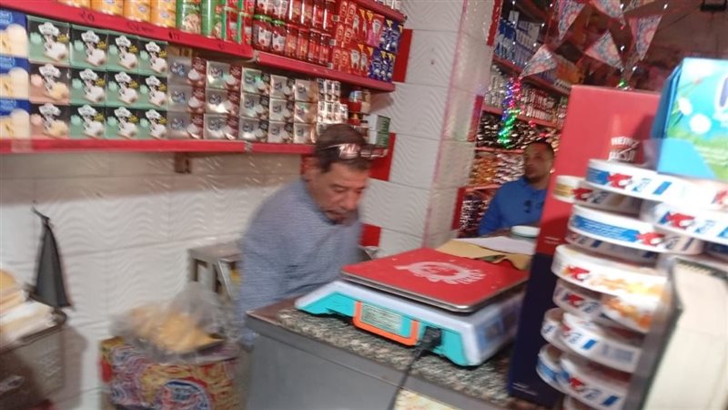 الإسكندرية 