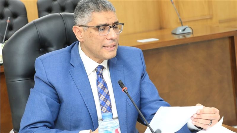  المهندس عادل النجار،