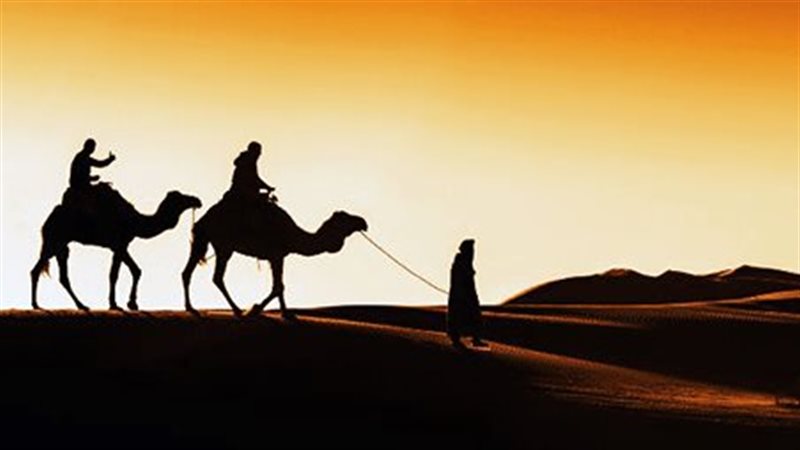 معجزات الرسول.. دعوها
