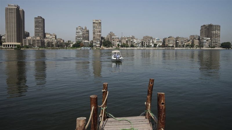  نيل الوراق، فيتو