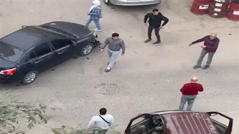 مشاجرة الفردوس، فيتو