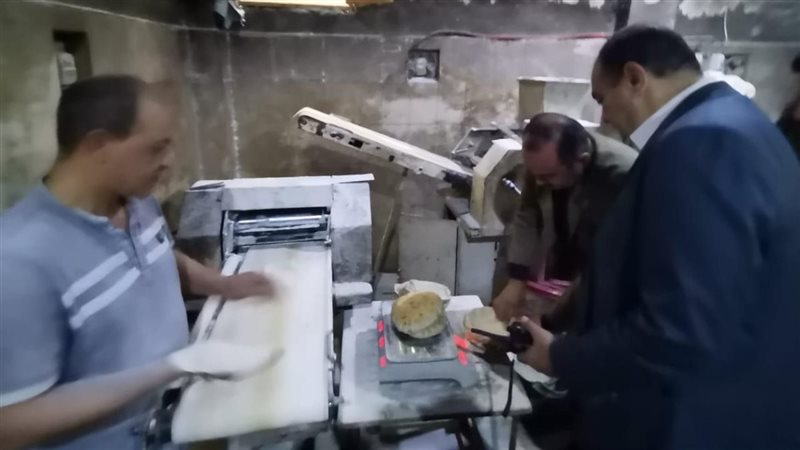 حملات تموينية بالدقهلية،