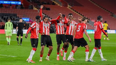 الدوري الإنجليزي، ساوثهامبتون يتقدم 1-0 أمام ولفرهامبتون بالشوط الأول