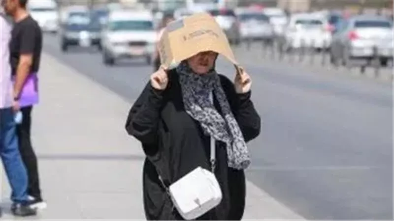 حالة الطقس غدا، فيتو